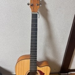 楽器 弦楽器、ギター
