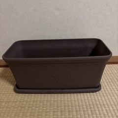 プランター　【決まりました】