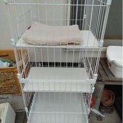 生活雑貨 家庭用品 キッチン雑貨