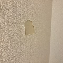 賃貸の壁 修復可能な方いらっしゃいましたらお願いいたします。