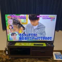 家電 テレビ 液晶テレビ