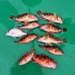 釣り仲間探しています！ - 友達