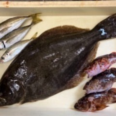 釣り仲間探しています！ - 和歌山市