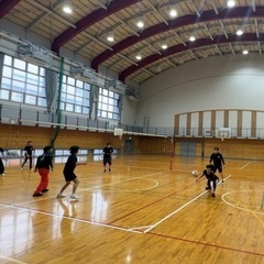 社会人バレーボールチームCrested Ibis メンバー募集 - スポーツ