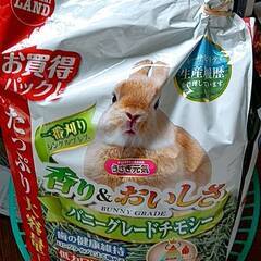 【値下げしました】小動物用ゲージの画像