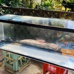 アクリル水槽　お値下げしました！の画像