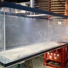 アクリル水槽　お値下げしました！の画像