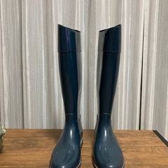 サイズ38.5  細身　高さ43㎝の画像