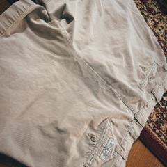 Andrew Pants Polo Ralph Lauren 36インチ　ショーツの画像