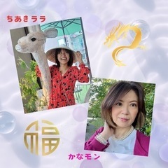 6/1（土）【開運！なんでも鑑定会】BLUE BOOKS cafe京都 - 京都市