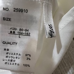 【お譲り先決定！】レディース 洋服 ブラウス 半袖 Lサイズの画像