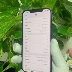 iPhone12 Pro Max 256GB SIMフリー ブルーの画像