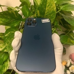 iPhone12 Pro Max 256GB SIMフリー ブルーの画像