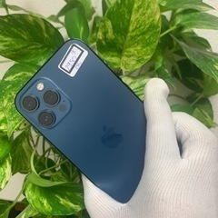 iPhone12 Pro Max 256GB SIMフリー ブルーの画像