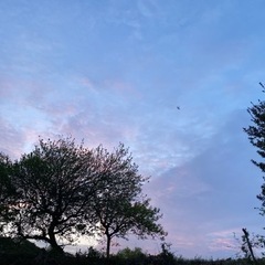 人生相談・Lifeカウンセリング