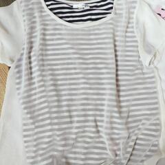 ティシャツまとめてＬの画像
