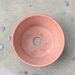 植木鉢　浅型　9号　常滑の画像