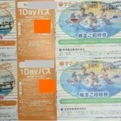 東京サマーランド1DAYパスチケット_001