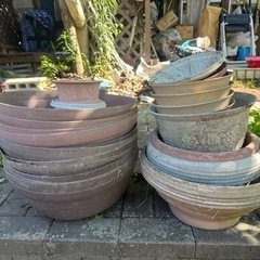 植木鉢（プラスチック）
