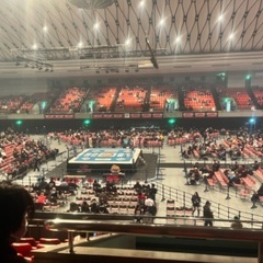 プロレス一緒に行きませんか？