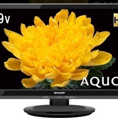 SHARP 19インチ　液晶テレビ
