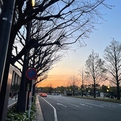 一緒に散歩してくれる方