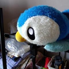 おもちゃ おもちゃ ぬいぐるみ