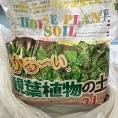 観葉植物の土、鉢底軽石