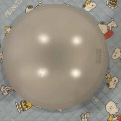 シーリングライト