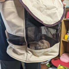 ペットキャリー×2(バッグタイプ、リュックタイプ)の画像
