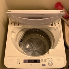 家電 生活家電 洗濯機