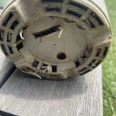 （レア ブラックカラーリーフ）コロカシア ブラックランナー  室内でも  大型になる　レア リーフガーデン   観葉植物の画像