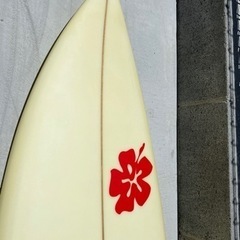 スポーツ マリンスポーツの画像