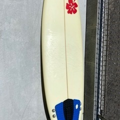 スポーツ マリンスポーツ