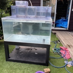 iPhone12 値段交渉受け付けてます。日曜日いっぱいでしめきらせて