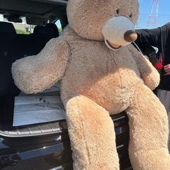 コストコ　Costco クマぬいぐるみの画像