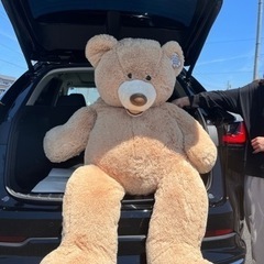 コストコ　Costco クマぬいぐるみの画像