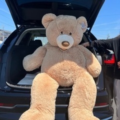 コストコ　Costco クマぬいぐるみの画像