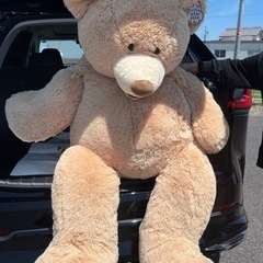 コストコ　Costco クマぬいぐるみ