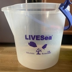 バケツ　水換え