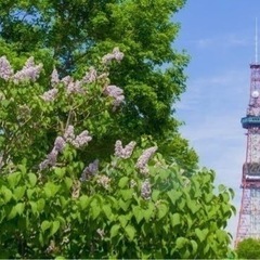札幌散策&開拓🚶
