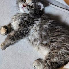 暇で〜す💦遊びに来てください