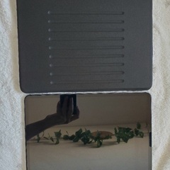 Apple iPad Pro 5th Generation 265GB WiFi + Cellularの画像