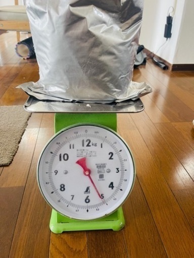 蓄光粉末　1５kg  色グリーン