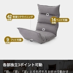 【引渡決定】LOWYA 座椅子の画像