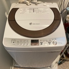 家電 生活家電 洗濯機