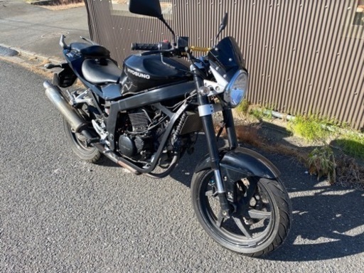 HYOSUNG バイク　GT250 自賠責R7.6/22まで HYOSUNG バイク GT250 自賠責R7.6/22まで 【公式通販】