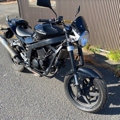 HYOSUNG バイク　GT250 自賠責R7.6/22までの画像