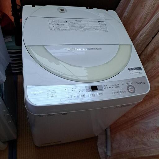 家電 生活家電 洗濯機
