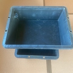 メダカ飼育用トロ箱